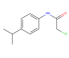 2-chloro-N-(4-isopropylphenyl)acetamide,  98%
