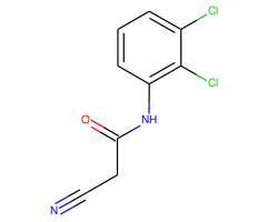 2-Cyano-N-(2,3-dichloro-phenyl)-acetamide
