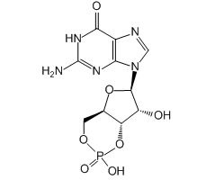 Guanosine 3',5'-monophosphate