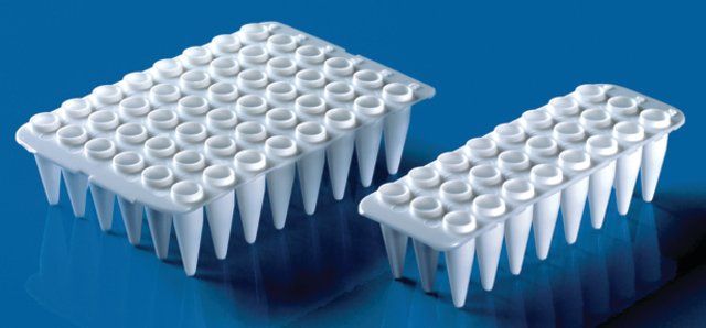 BRAND<sup>®</sup> 48-well PCR plates