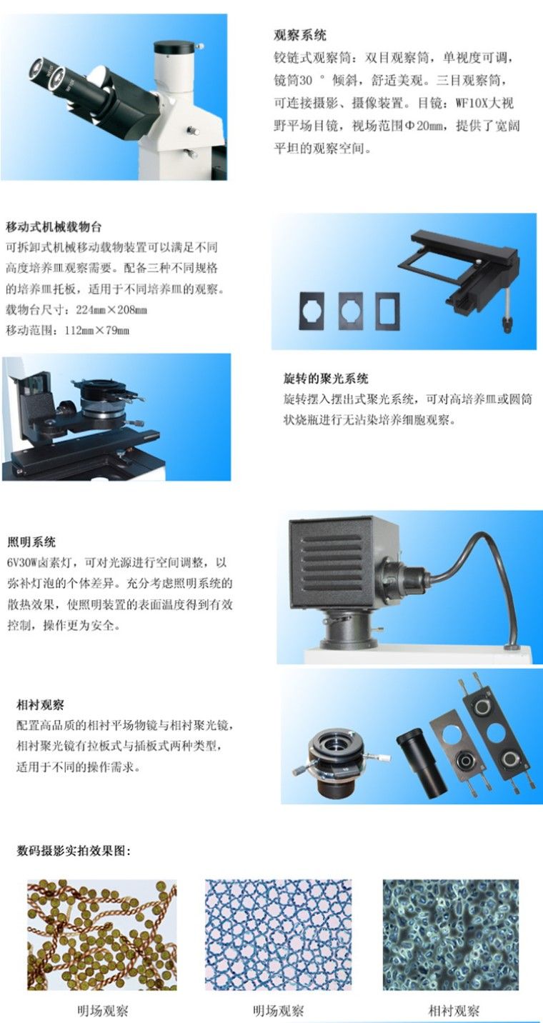 详情.jpg