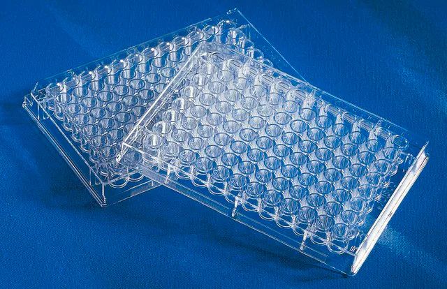 Corning<sup>®</sup> UV-Transparent Microplates