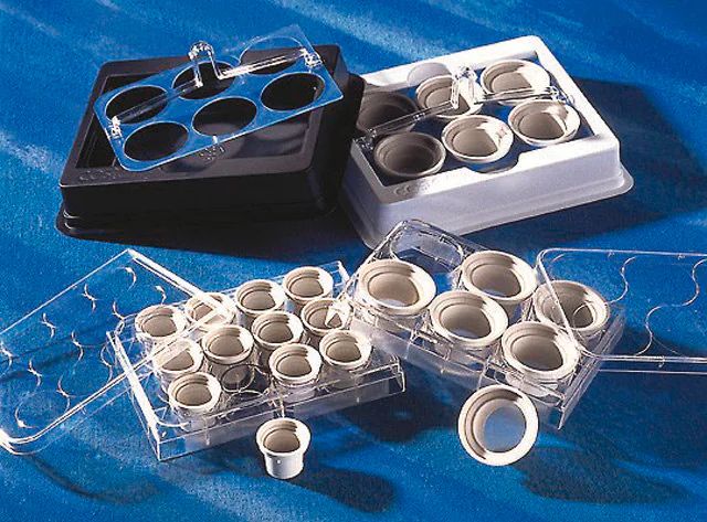 Corning<sup>®</sup> Netwells<sup>®</sup> inserts