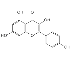 Kaempferol