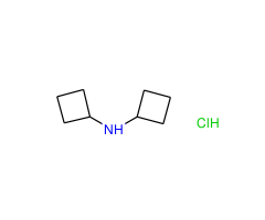 Dicyclobutylamine x HCl