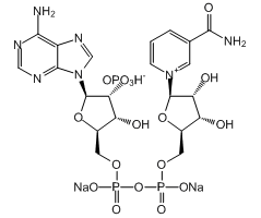 β-Nicotinamide adenine dinucleotide phosphate disodium salt