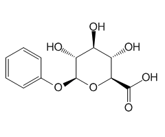 Phenyl-β-D-glucuronide