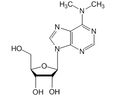 6-Dimethylamino-9-(β-D-ribofuranosyl)purine