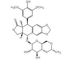 Etoposide