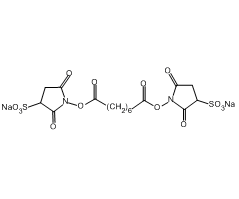 Suberic acid bis(3-sulfo-N-hydroxysuccinimide ester) sodium salt