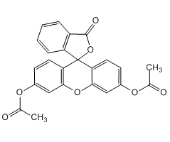 Fluorescein Diacetate