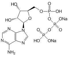 Adenosine 5'-triphosphate disodium salt hydrate