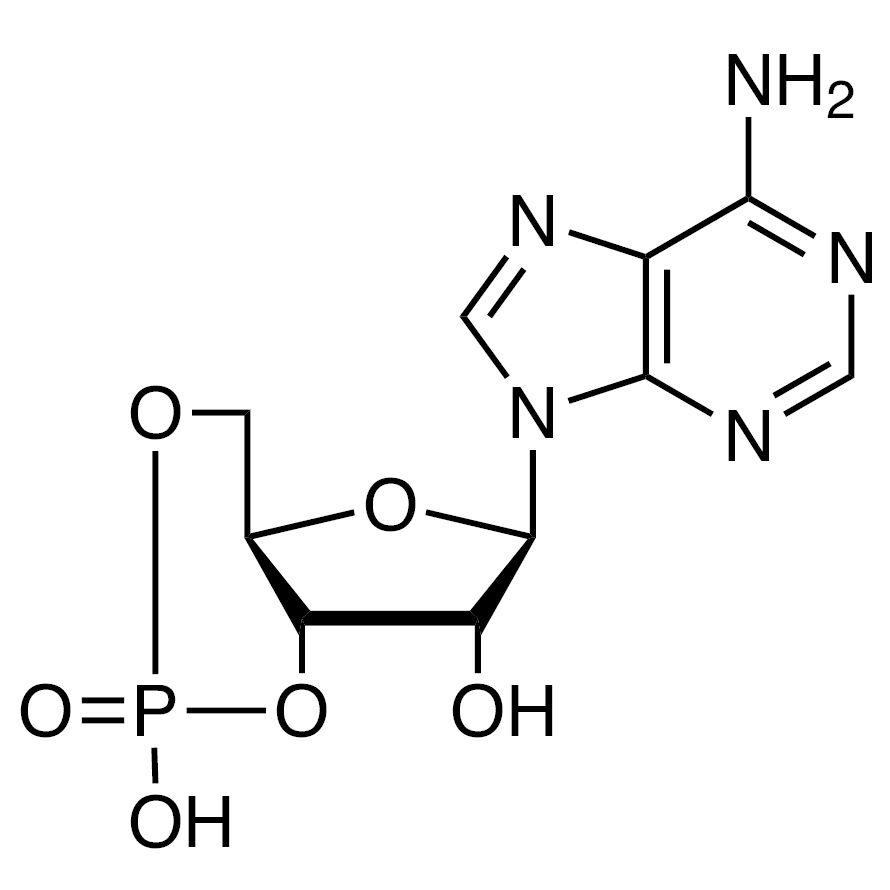 Adenosine 3',5'-Cyclic Monophosphate