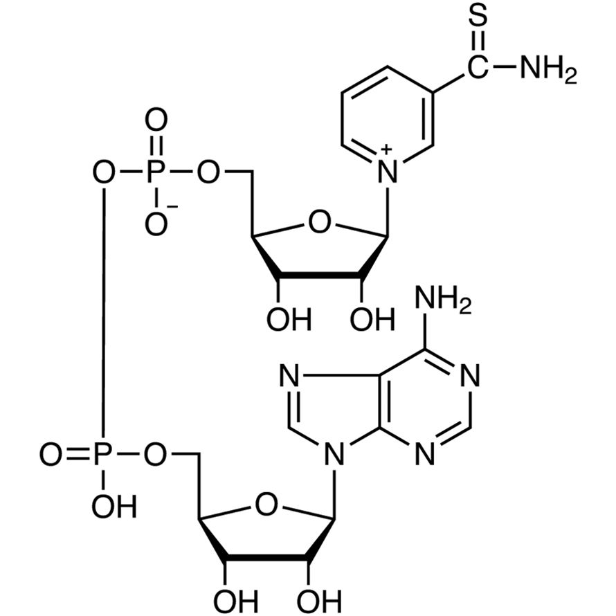 Thionicotinamide Adenine Dinucleotide oxidized form [for Biochemical Research]