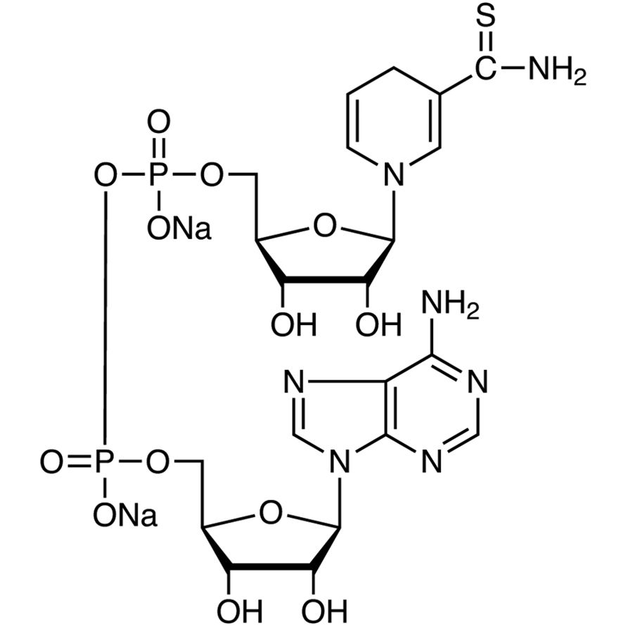 Thionicotinamide Adenine Dinucleotide Disodium Salt reduced form [for Biochemical Research]