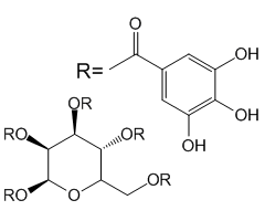 1,2,3,4,6-Penta-O-galloyl-β-D-glucopyranose