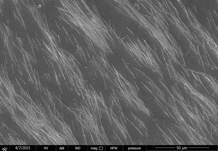 Iron oxide nanoparticles in water, 20nm, with carboxylic acid surface functional group