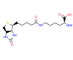 N'-Biotinyl-L-lysine
