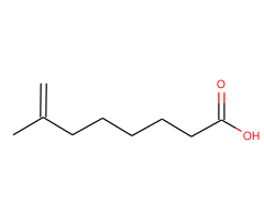 7-Methyl-7-octenoic acid