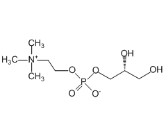 (R)-2,3-Dihydroxypropyl (2-(trimethylammonio)ethyl) phosphate