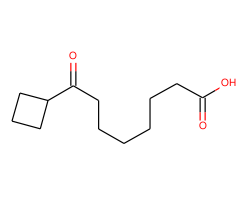 8-cyclobutyl-8-oxooctanoic acid