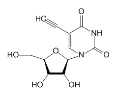 5-Ethynyluridine