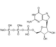 Guanosine-5-triphosphoric aicd disodium salt