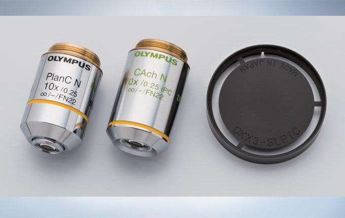 奥林巴斯倒置显微镜CKX53示例图6