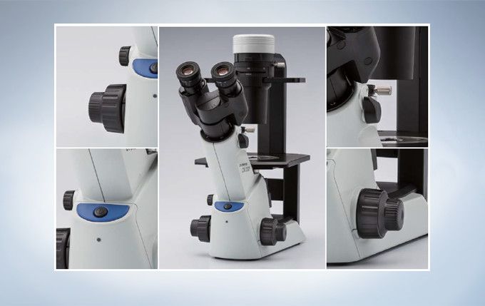 奥林巴斯倒置显微镜CKX53示例图10