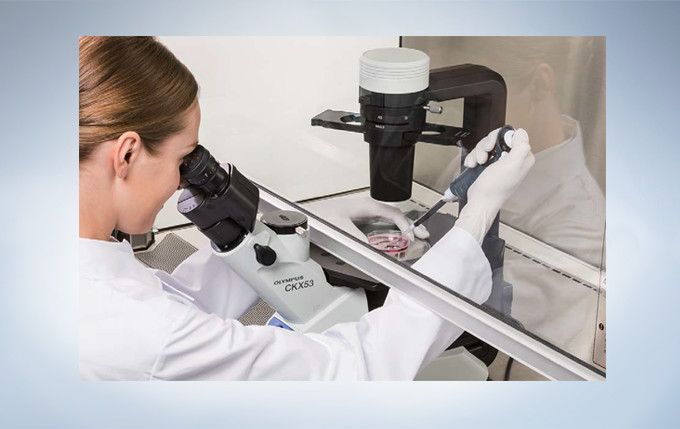 奥林巴斯倒置显微镜CKX53示例图9