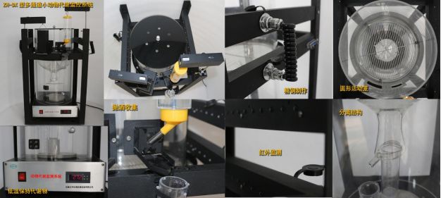 安徽正华动物实验仪器
