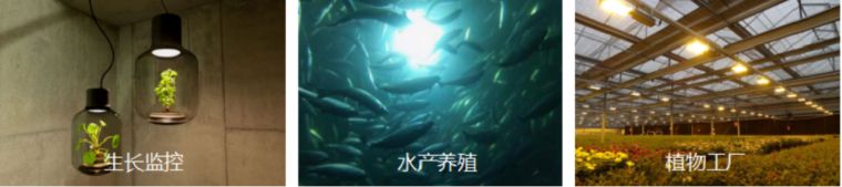 远方光电