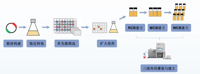 微信截图_20240627101831