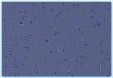 微信截图_20240729140537