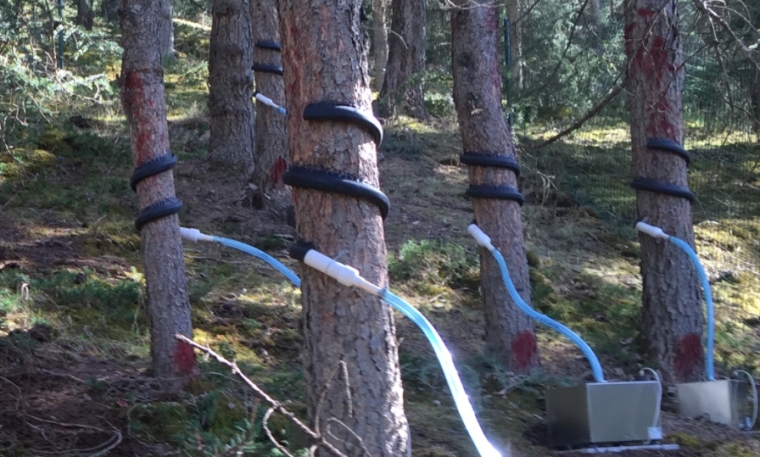 树干截留采集仪