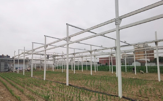 高通量植物表型测量系统