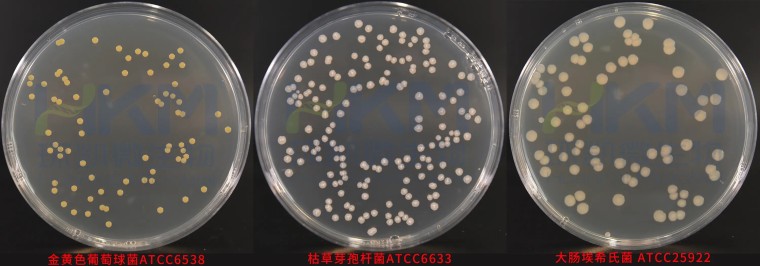 营养琼脂(羊血琼脂基础)(NA培养基)