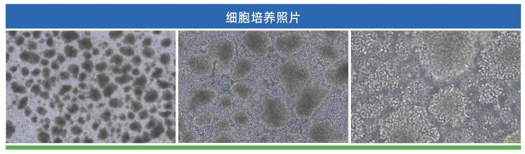 产品细节图片1