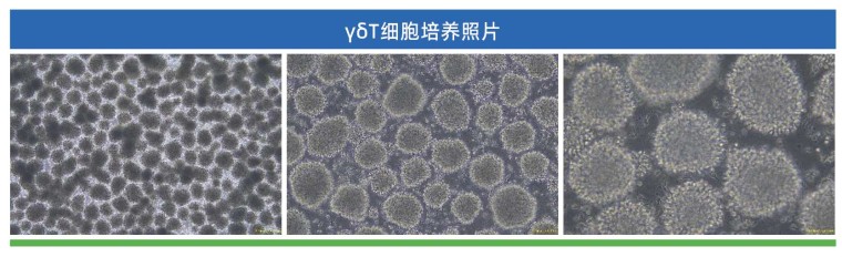 产品细节图片4