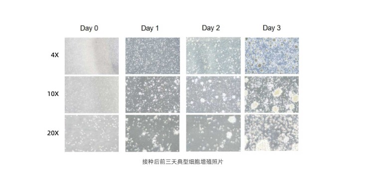 产品细节图片4