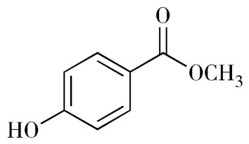 蒲公英
